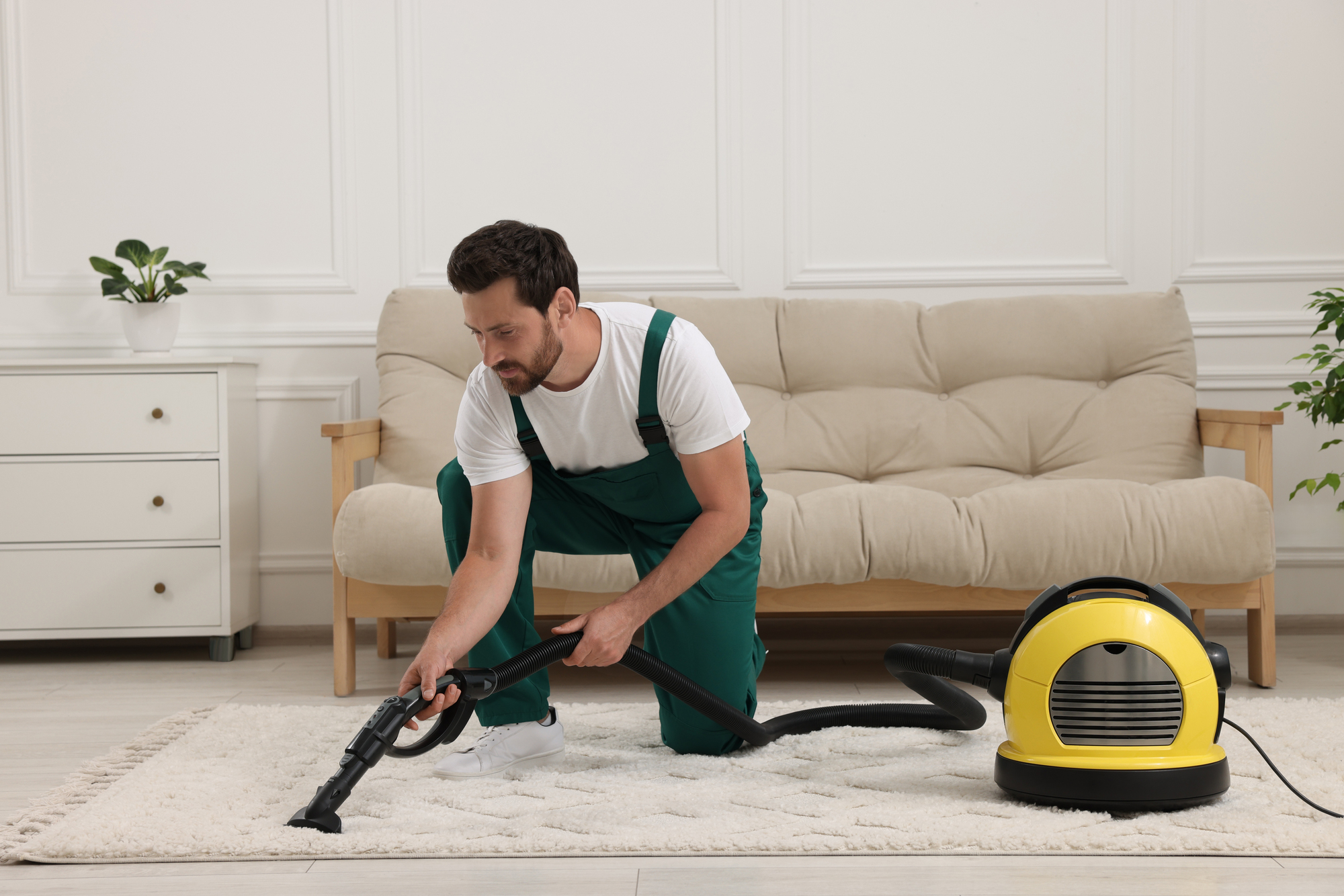 Professional Carpet Cleaning in Frederick