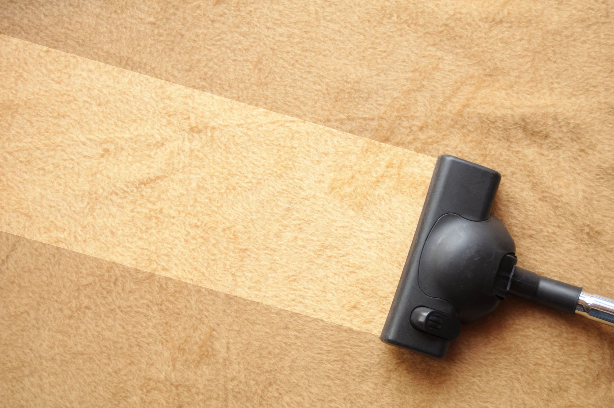 carpet cleaning services